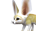 Fennec Fox Baby - Zoo Tycoon 2