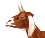 Goat - Jade Empire: Special Edition