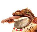 Toad Demon - Jade Empire: Special Edition