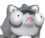 Raccoon - Just Act Natural