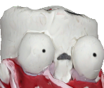 White Sushi - Just Act Natural