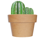 Cactus - Blade Runner 9732