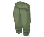 Cargo Pants - Pokémon X / Y