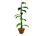Tall House Plant - Jimmy Neutron: Boy Genius