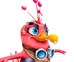 Muge - Angry Birds Evolution