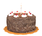 Cake - Portal
