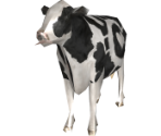 Companion Cow - Goat Simulator