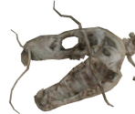 Jabberwock Skeleton - Alice: Madness Returns