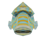 Cowfish - Shark Tale