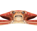 Dungeness Crab - Shark Tale