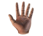 Empty Hands - Postal 2