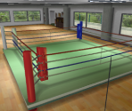 Boxing Training Room - Wii Sports
