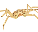 Facehugger - Aliens Versus Predator 2