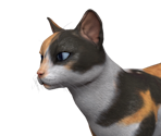 Cat - Hogwarts Legacy