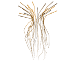 Metroid Prime's Suspension Cords - Metroid Prime