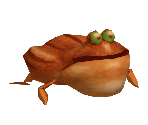 Frog - Madagascar