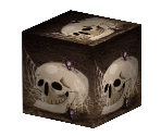 Skull Cube - Madagascar