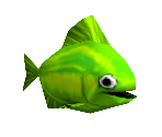 Green Fish - Madagascar