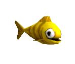 Yellow Fish - Madagascar
