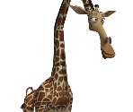 Melman - Madagascar