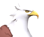 Falcon - Genshin Impact