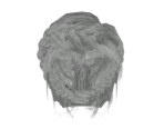 Hair (Braided) - Dark Souls