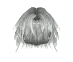 Unknown Hair - Dark Souls