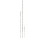 Ladders (Darkroot Garden & Darkroot Basin) - Dark Souls