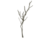 Bed of Chaos's Branch - Dark Souls