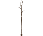 Bed of Chaos's Staff - Dark Souls