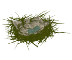 Nest - Dark Souls