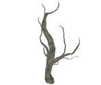 Branches - Dark Souls