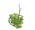 Bush - Dark Souls