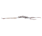 Demon's Spear (Batwing Demon's Lightning Spear) - Dark Souls