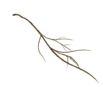 Large Branch - Dark Souls