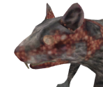 Small Rat - Dark Souls