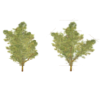 Shrub - Dark Souls