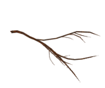 Burnt Branch (Alternate) - Dark Souls