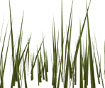 Grass - Dark Souls
