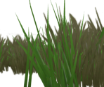 Grass & Weeds - Dark Souls