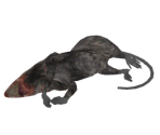 Small Dead Rat - Dark Souls
