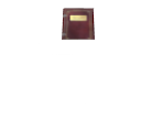Stand with Book (Alternate) - Dark Souls