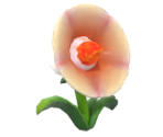 Rocket Flower - Super Mario Odyssey