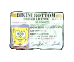 Driver's License - SpongeBob SquarePants: Creature from The Krusty Krab