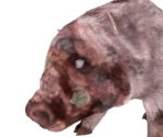Enslaved Pig - Dark Souls II