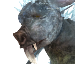 Ice Rat - Dark Souls II