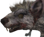 Corpse Rat - Dark Souls II