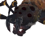 Parasite Spider - Dark Souls II