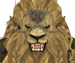 Lion Clan Warrior - Dark Souls II