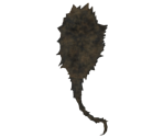 Black Dragon Shield - Dark Souls II